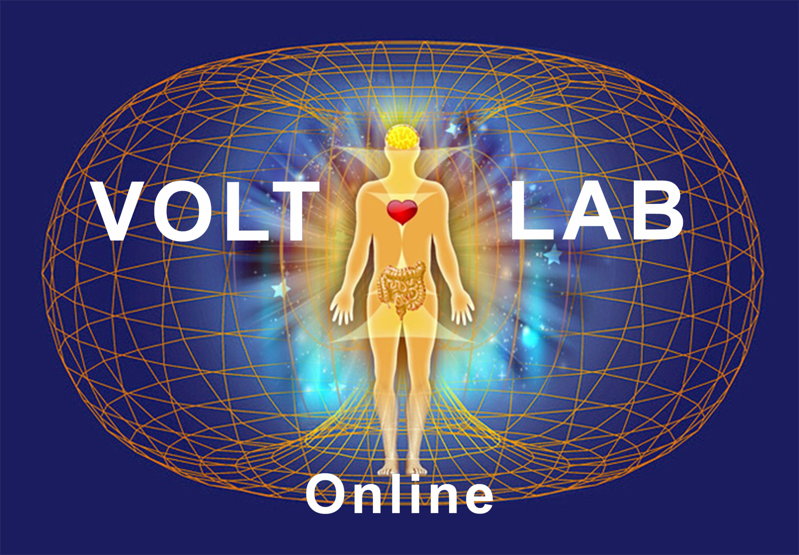 VOLT Lab<br />Aus der menschlichen Ausrede erwachen